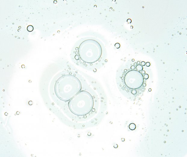 Bioderma Sebium Loção Hidratante 200ml - Farmácia Garcia