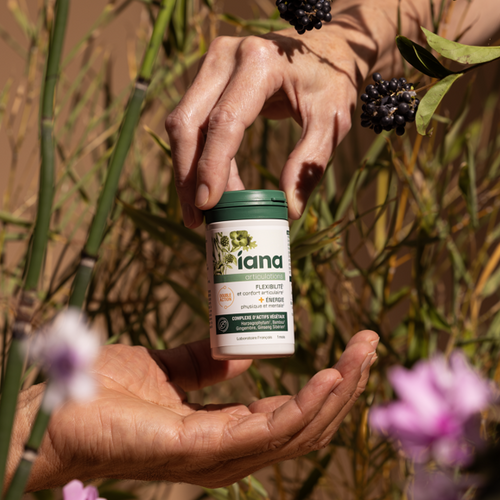 Iana Articulações Flexibilidade + Energia 60 Comprimidos