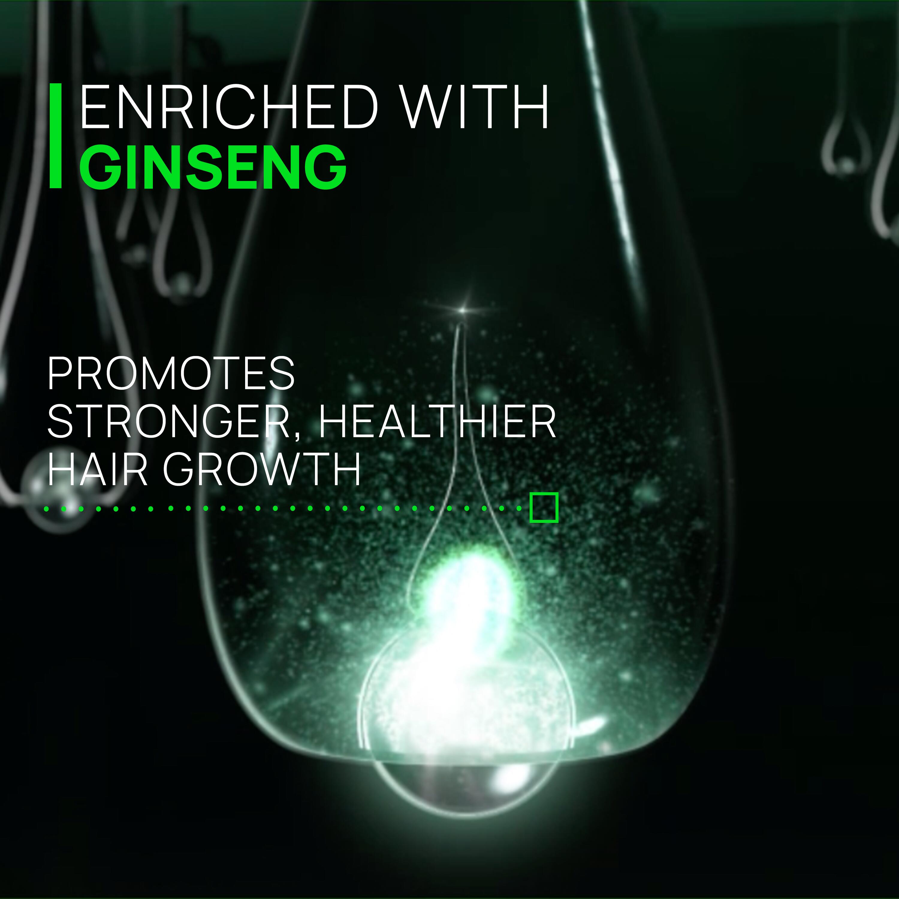 Rene Furterer Triphasic Champô 500ml - Farmácia Garcia