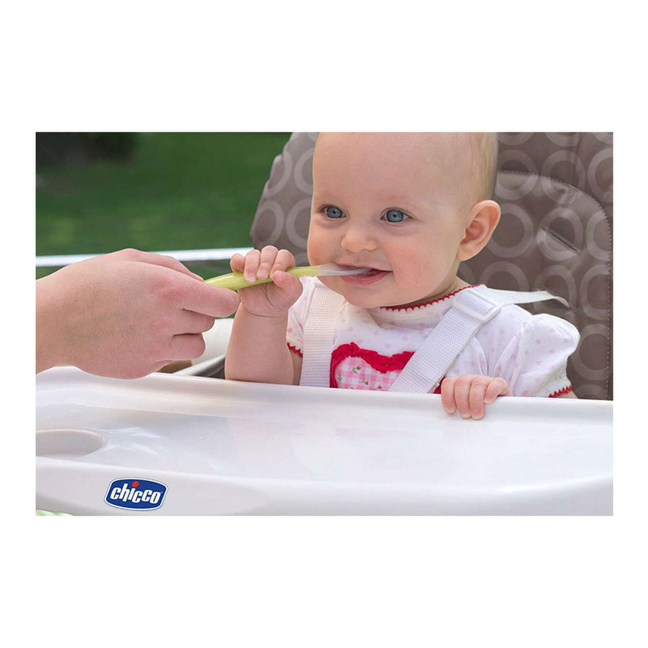 Chicco Colher Verde Softly Spoon 6M+