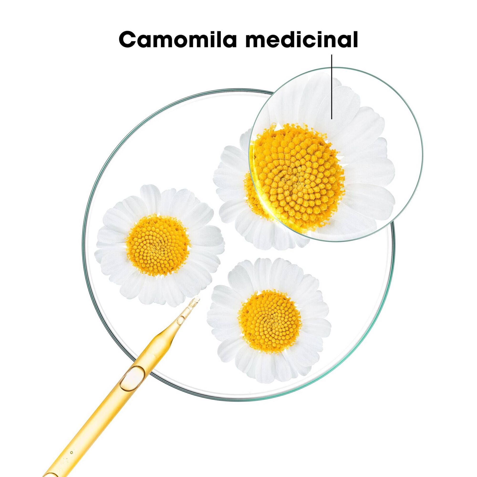 Klorane Capilar Champô Camomila 400ml - Farmácia Garcia