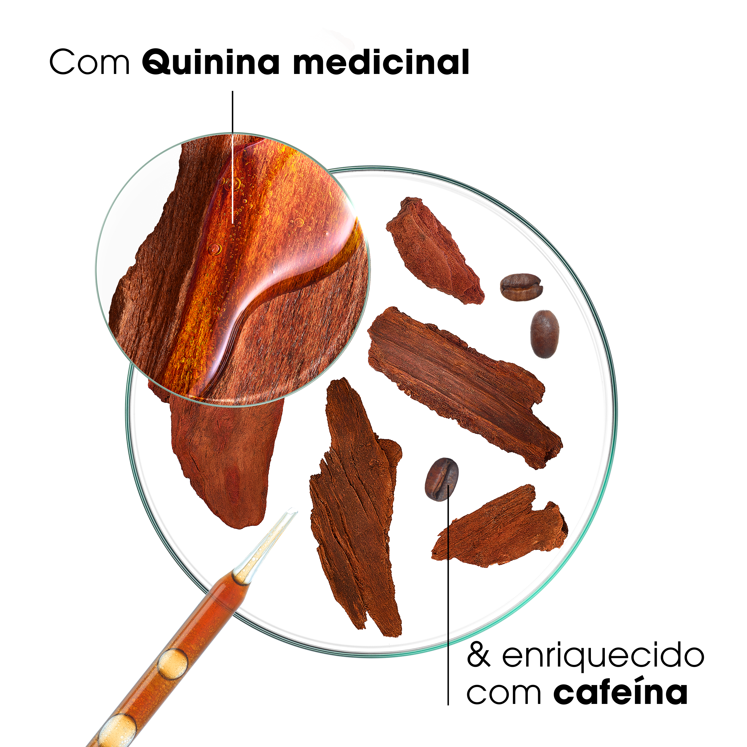 Klorane Capilar Champô Quinina & Edelvaisse BIO 400ml - Farmácia Garcia