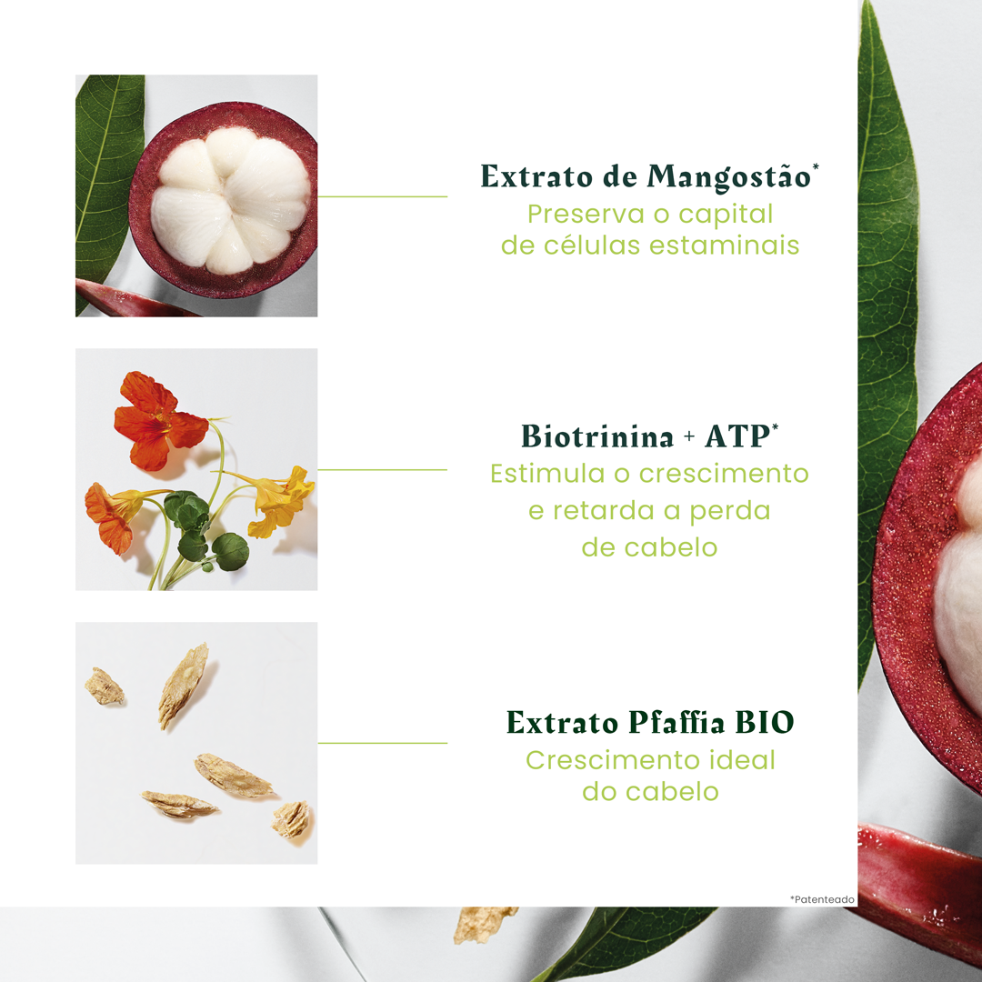 Rene Furterer Triphasic Ampolas Queda Progressiva Promocional Oferta Champô Triphasic 100ml - Farmácia Garcia