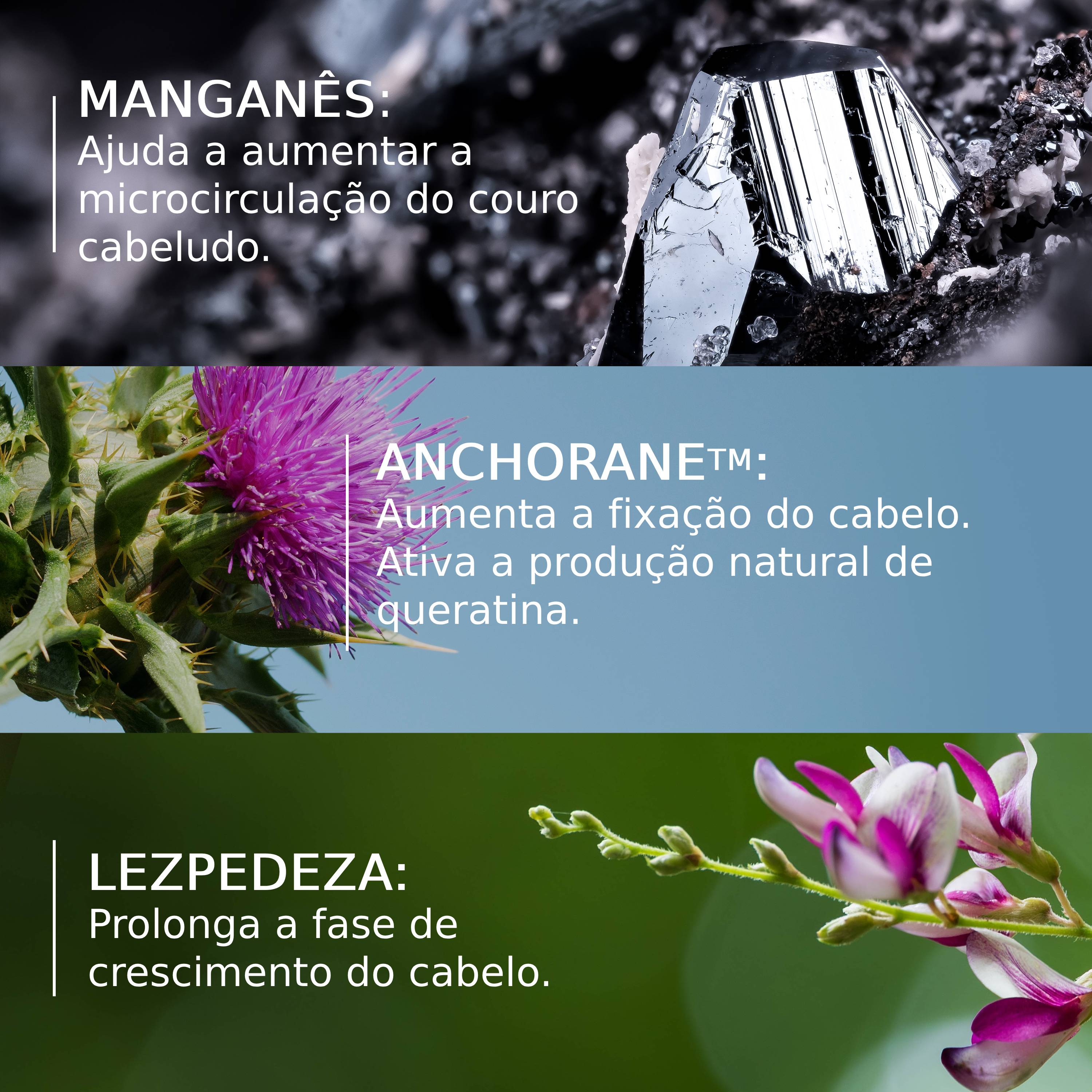 Ducray Neoptide Expert Sérum Oferta Anaphase+ 50ml Champô 100ml - Farmácia Garcia
