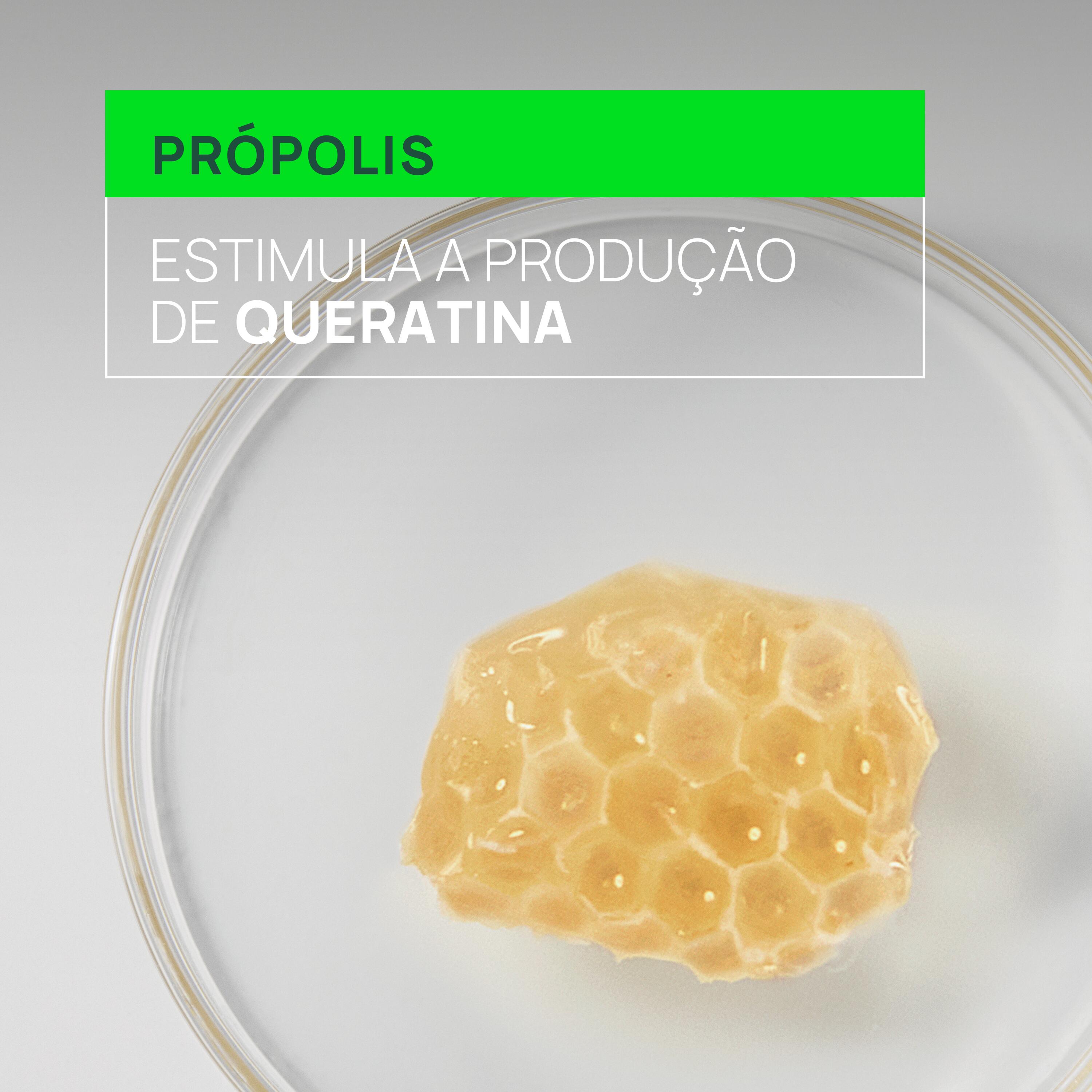 Rene Furterer Triphasic Ampolas Queda Reacional Promocional Oferta Champo Triphasic 100ml - Farmácia Garcia