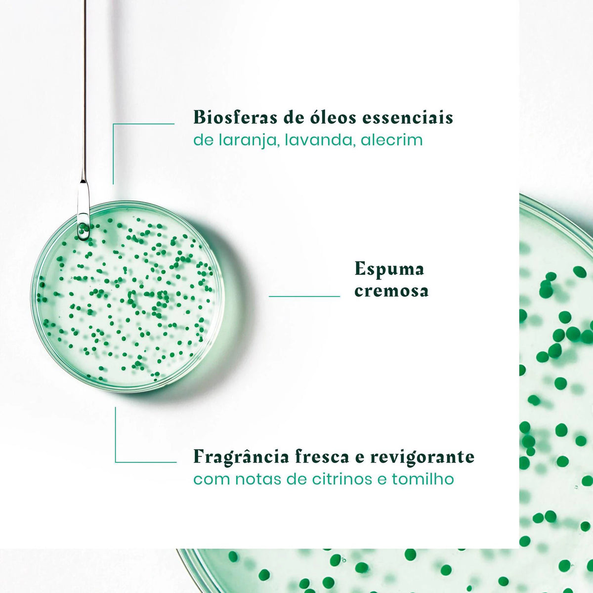 René Furterer Forticea Champô Energizante 500ml
