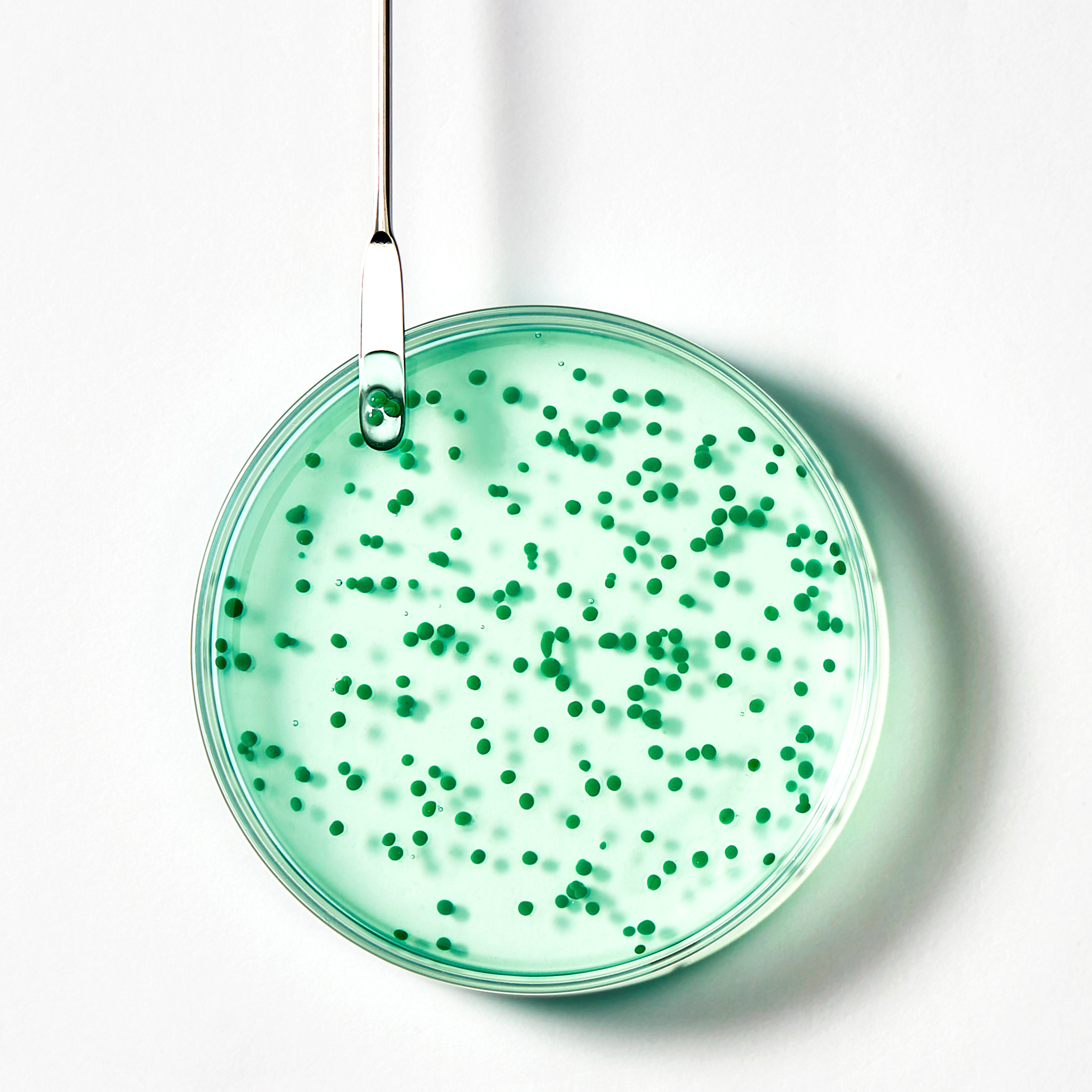 Rene Furterer Forticea Champo Energizante Edição Especial 250ml - Farmácia Garcia