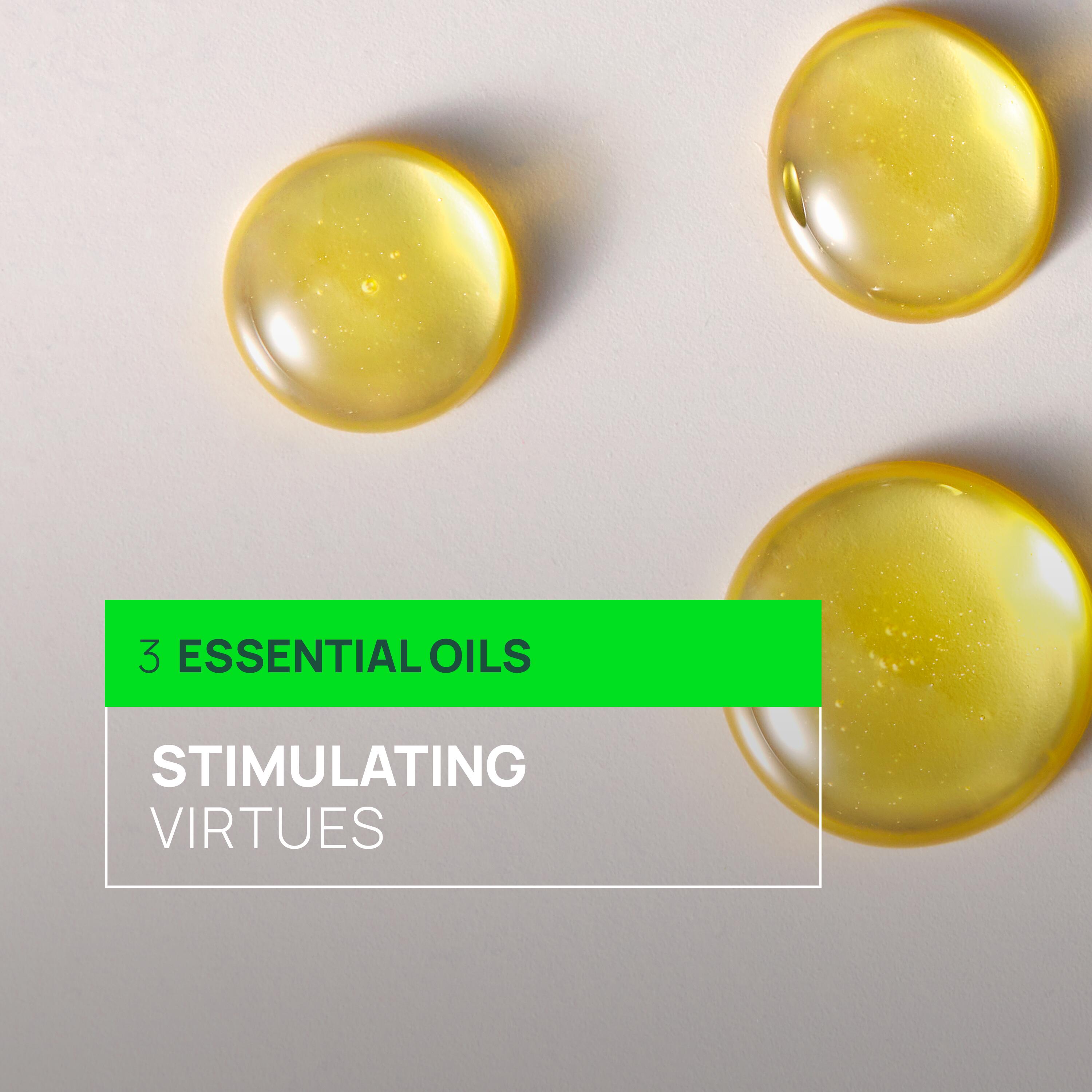 Rene Furterer Triphasic Champô 500ml - Farmácia Garcia