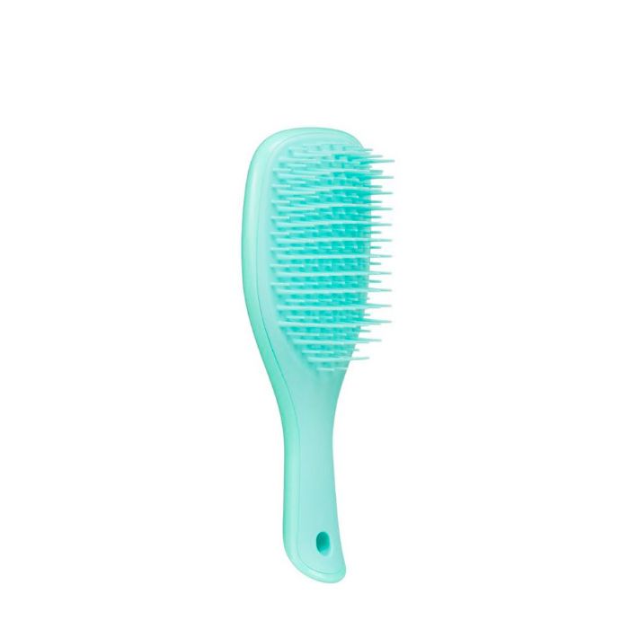 Escova Wet Detangler Mini Verde/Lilás Cabelo Molhado - Farmácia Garcia